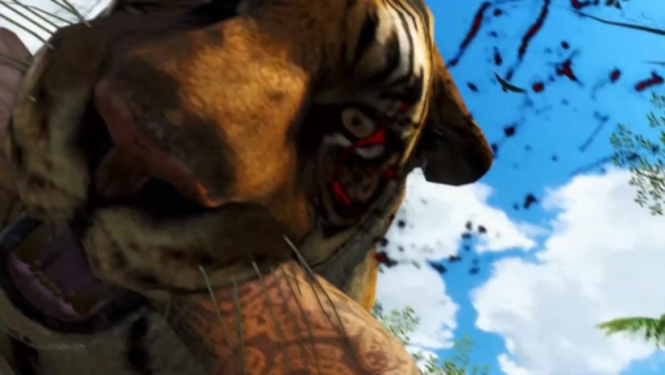 Far Cry 3: Inselüberlebensführer der Rook Islands