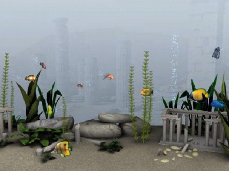 Ein Review in 10 Sekunden ... Heute: Fantasy Aquarium World für Wii