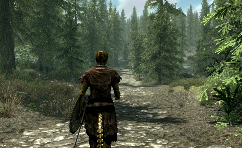 The Elder Scrolls 5 - Skyrim Special Edition