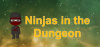 Ninjas in the Dungeon