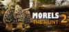 Morels - The Hunt 2
